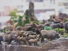 -KKV(深圳宏发大仟里店)