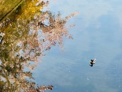 -海棠花溪(元大都城垣遗址公园)