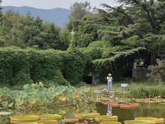 -国家植物园南园