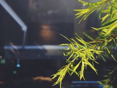 -甜心闲生传统手工冰粉(奎星楼店)