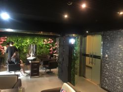 -藤野造型·专业烫染店