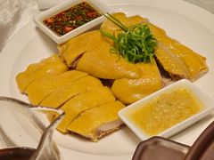 白切清远鸡-炆艺乳鸽·煲仔饭大排档(望京来广营店)