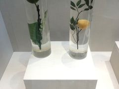 -广东中医药博物馆