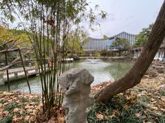 -上海醉白池公园