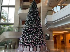 -上海新发展亚太JW万豪酒店