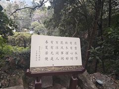 -杭州黄龙洞