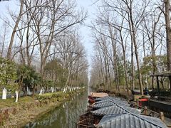 -合肥滨湖国家森林公园