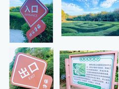 -大屏嶂森林公园