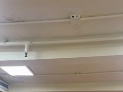-百福麵家(新馬路店)