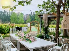 -安德鲁户外烧烤帐篷营地(马泉营店)