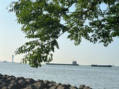 -上海滨江森林公园