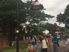 -荷兰红屋