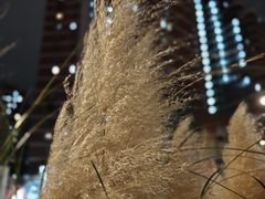 -陈光记烧腊(长寿路店)