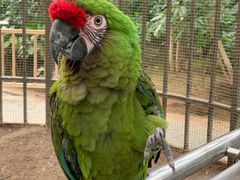 -南宫五洲植物乐园