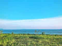 -合肥滨湖国家森林公园