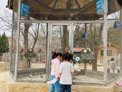 -意大利农场度假村