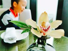 -无锡苏宁银河国际酒店·大堂酒廊