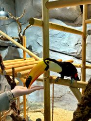 -Zoolung Zoolung动物主题公园(海信广场店)