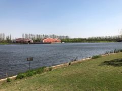 -上海长兴岛郊野公园