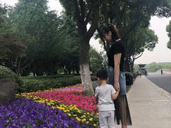 -昆山城市生态森林公园