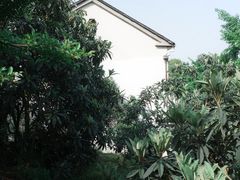 -西山风景区
