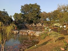 -东莞植物园