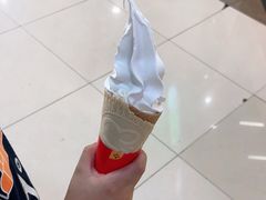 -蜜雪冰城(武进区吾悦店)