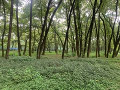 -西溪南古村落景区