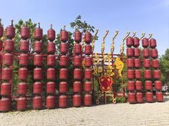 -西青郊野公园