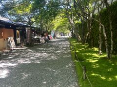 -三千院