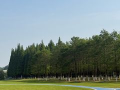 -宜兴龙背山森林公园