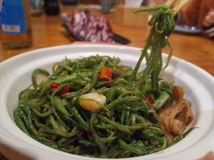 沙煲扁豆丝-锦小馆(安贞店)