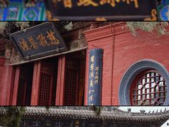-洛阳白马寺