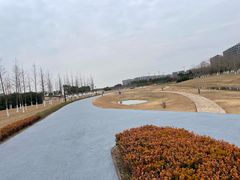 -春花秋色城市公园