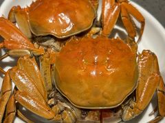 -老头儿油爆虾(胜利河美食街店)