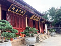 -上海东林寺(金山区)