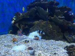 -西安曲江海洋极地公园
