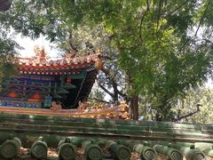 -北京国子监胡同