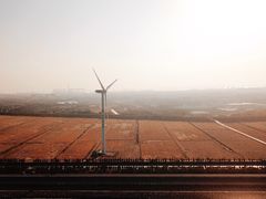 -上海长兴岛郊野公园