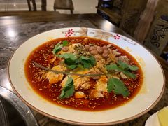 特色贡椒鸡-贡椒鱼老店·雅安十大名店