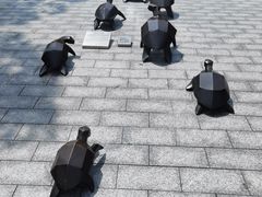 -广东惠东海龟国家级自然保护区