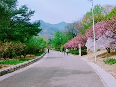 -鹫峰国家森林公园