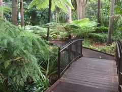 -墨尔本皇家植物园