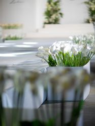 -御宴宫·宴会厅