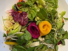 -正兴蜀园(科技园区店)