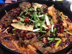 -老板恋上鱼(高新万达店)
