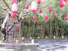 景点-东部华侨城