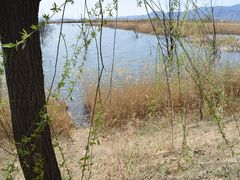 -野鸭湖国家湿地公园