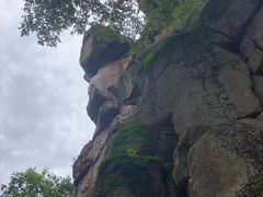 -汤旺河林海奇石景区
