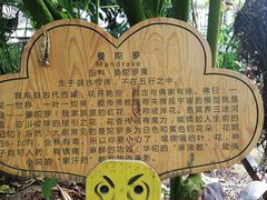 -呀路古热带植物园